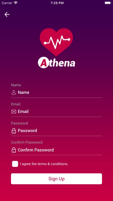 Athena screenshot 2