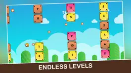 Game screenshot Bird vs Blocks - Fire The Ball hack