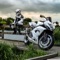 Lots of HD images for Suzuki GSX1300R Hayabusa lovers