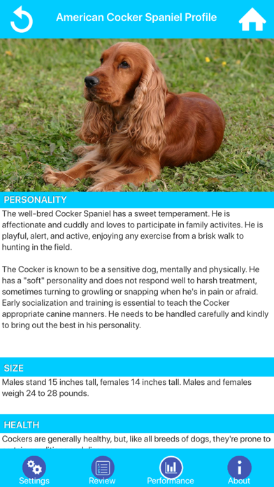 Dog Breeds Guide & Quiz screenshot 2