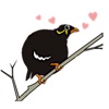 Grackle Bird Sticker