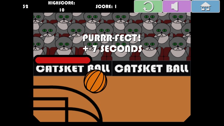 CatsketBall