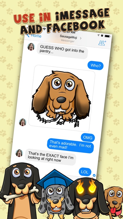SausageMoji - Dachshund Emojis screenshot-2