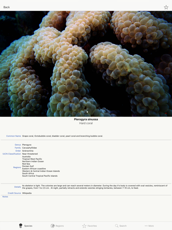 Corals, by Reef Life screenshot 2