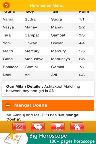 Kundli Software - náhled