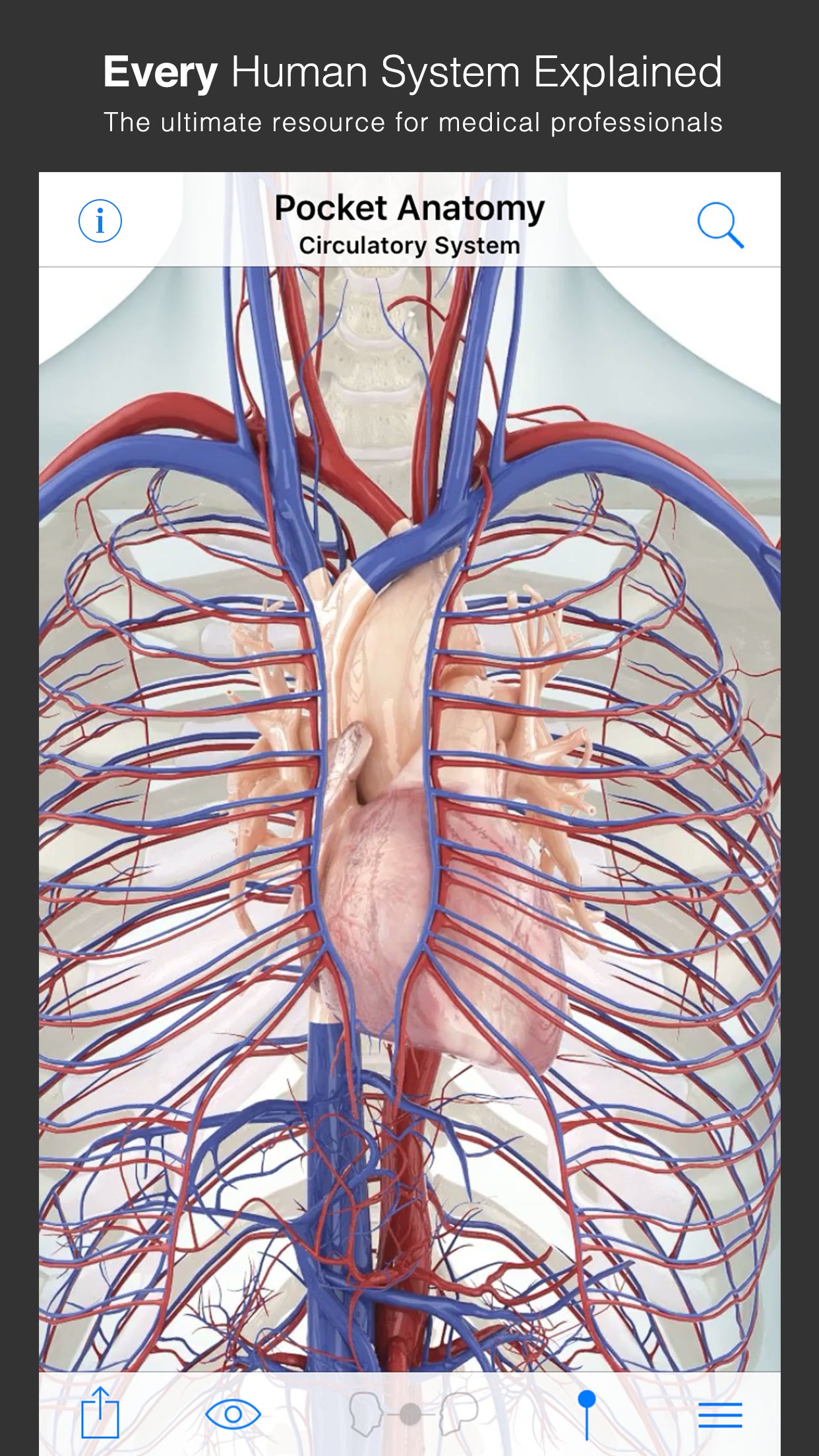 Screenshot do app Pocket Anatomy (2018)