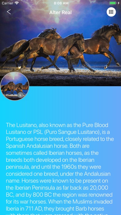 Horses 2.0