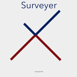 Surveyer