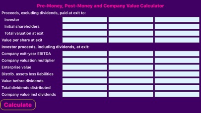 Company Valuation Calculator screenshot 3