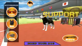 Game screenshot Dog Racer Simulation 2017 hack