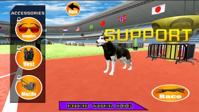Dog Racer Simulation 2017 Screenshot 3