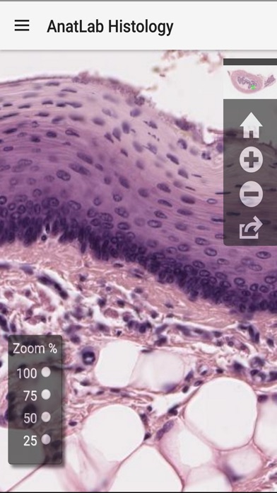 AnatLab Histology screenshot 2