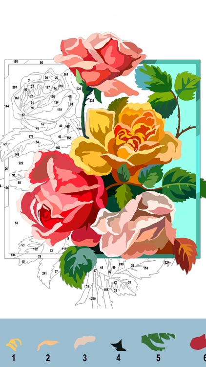 Color by Number Adult coloring