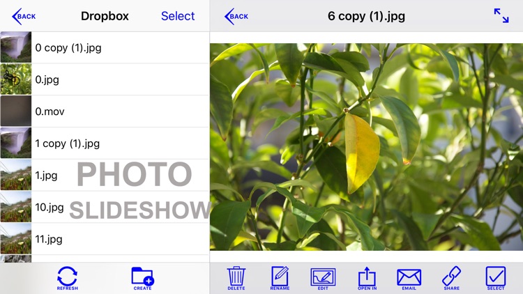 CloudEye Pro - File Browser screenshot-3