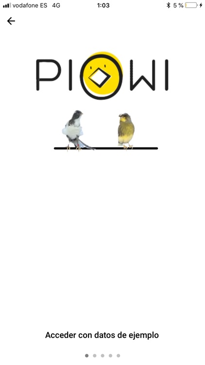 PIOWI