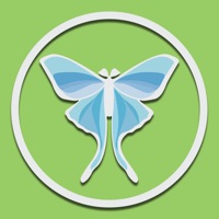 Silk ASMR 300 sleep sounds