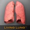 The Living Lung™ app is compatible with the iPad 2 or newer