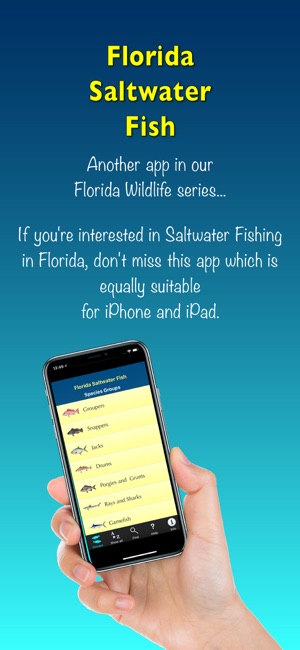 Florida Saltwater Fish(圖1)-速報App