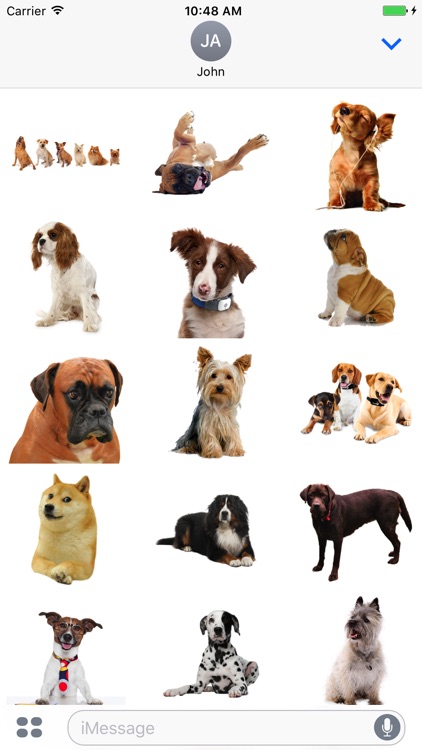 Fun Dogs Stickers!