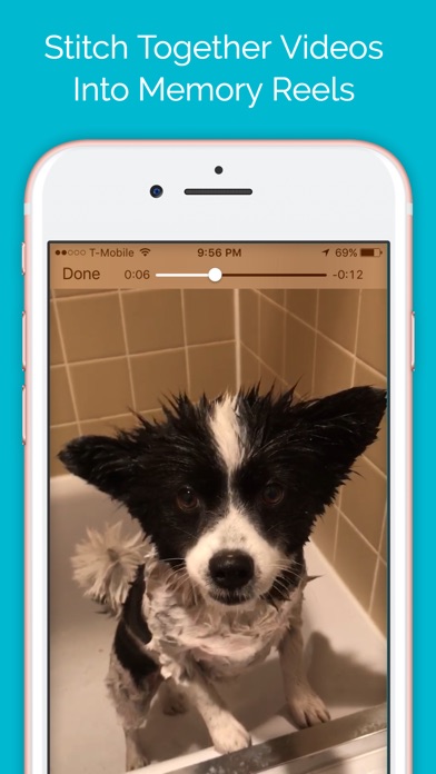 Pupsie: a dog video journal screenshot 2