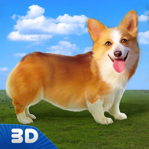 Corgi Stray Dog Simulator icon