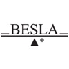 BESLA, Inc.