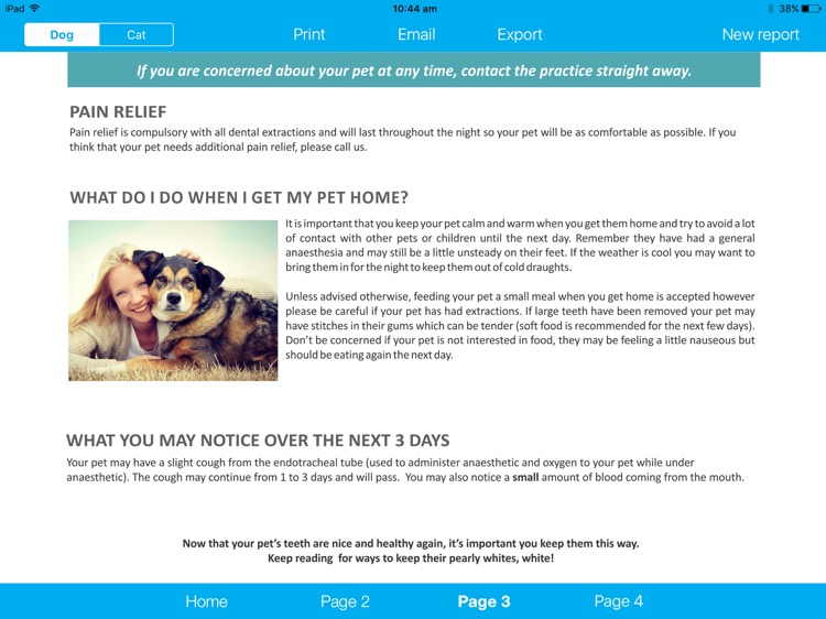 Pet Teeth Report