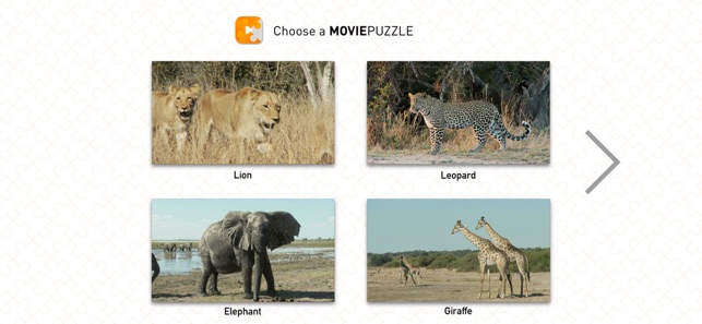 MoviePuzzles – Wild Animals