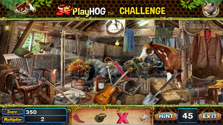 Horse Shoe Hidden Objects Game