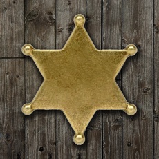 Activities of Saloon Shootout