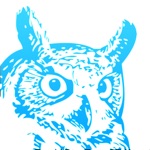 Blue Owl - Trading Wisdom