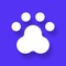 Enrol you and your dog into Pawey School to learn all the skills a dog needs to know along with fun ones