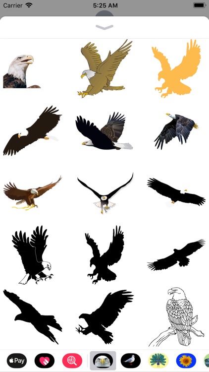 Exquisite Eagle Stickers