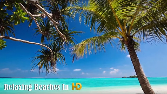 Relaxing Beaches In HD(圖1)-速報App