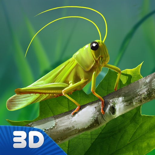 Grasshopper Insect Life Simulator 3D