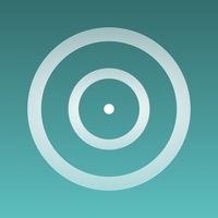 Byline 5 на пк