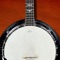 While we've received alot of great feedback about Banjo Companion, there were some complaints