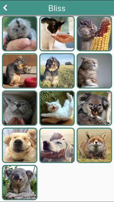 Animal Emojis With Text&Photos screenshot 2