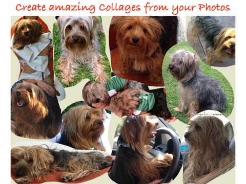 Collages Maker - náhled
