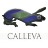 Calleva