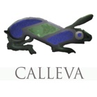 Top 10 Education Apps Like Calleva - Best Alternatives