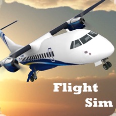 Activities of Flight Sim 2018
