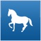 Horse Medical Agenda is now a universal application optimized to run on iPhone, iPod and iPad devices