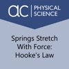 Springs Stretch With Force