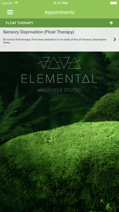 Elemental Wellness Vaughan screenshot 3