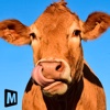 Euro Farm Simulator: Livestock
