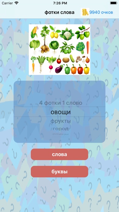 фотки слова - изучать русские screenshot 3