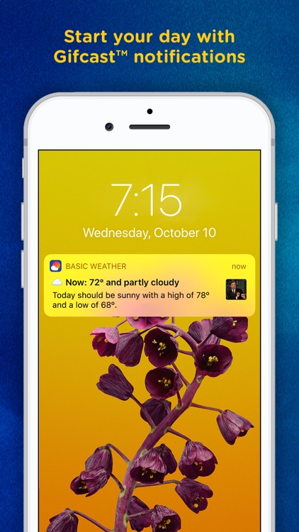 Basic Weather: Gifs & Weather screenshot-3