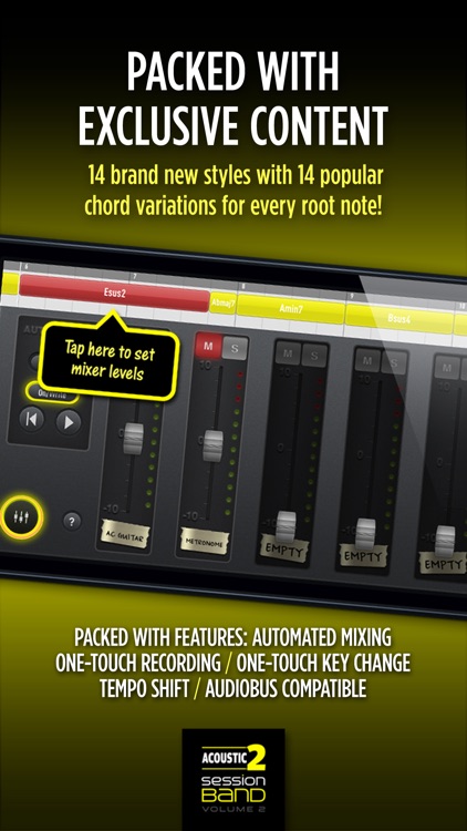 SessionBand Acoustic Guitar - Volume 2 screenshot-4