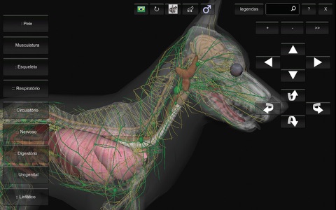 3D Canine Anatomy screenshot 3